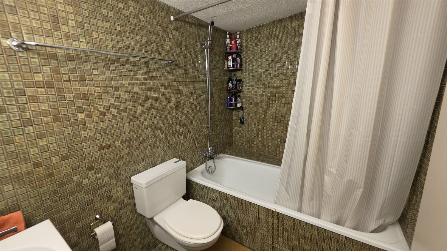 3 ½ rooms duplex