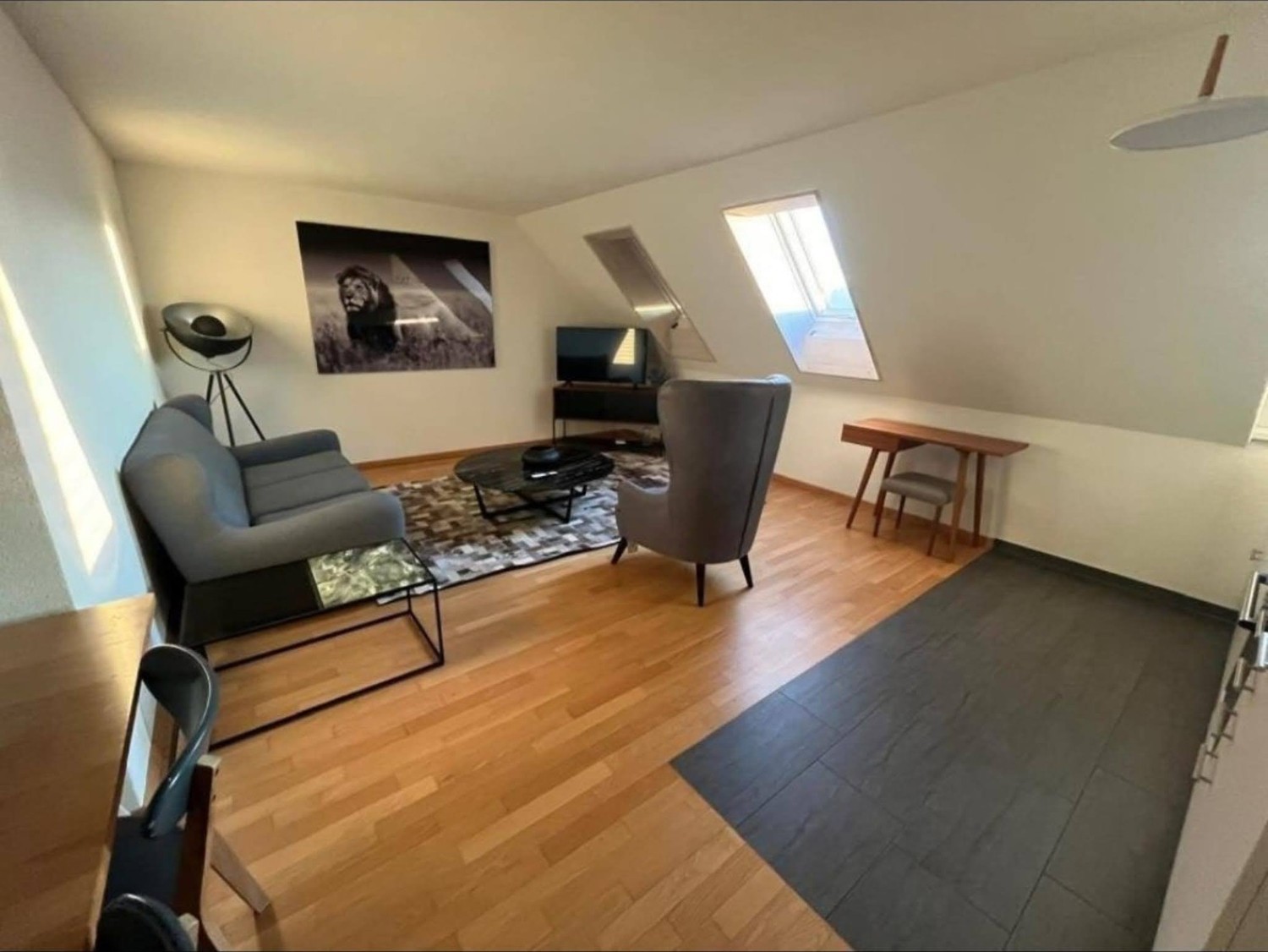 1 rooms apartment
