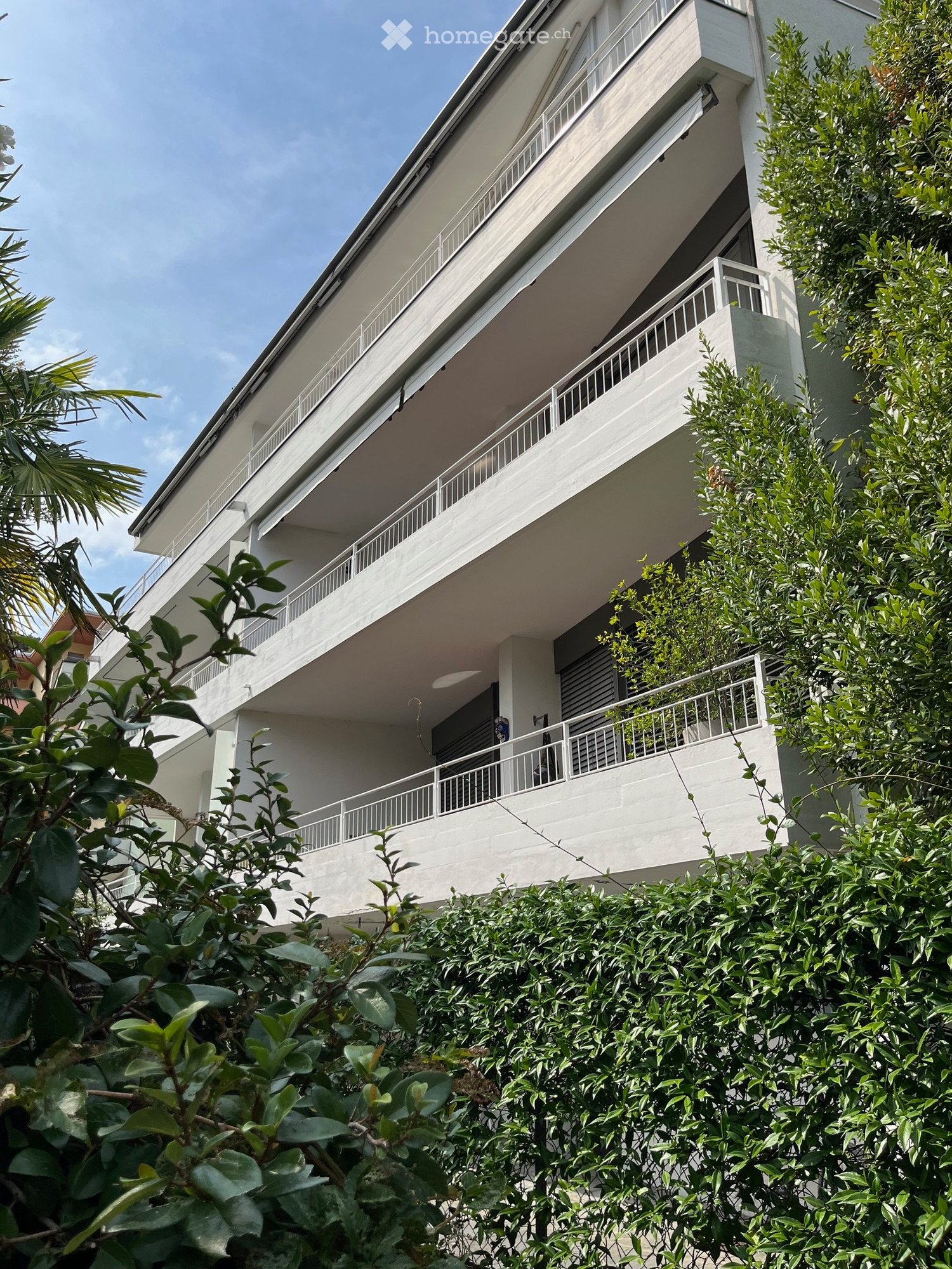 3 ½ Zimmer Wohnung