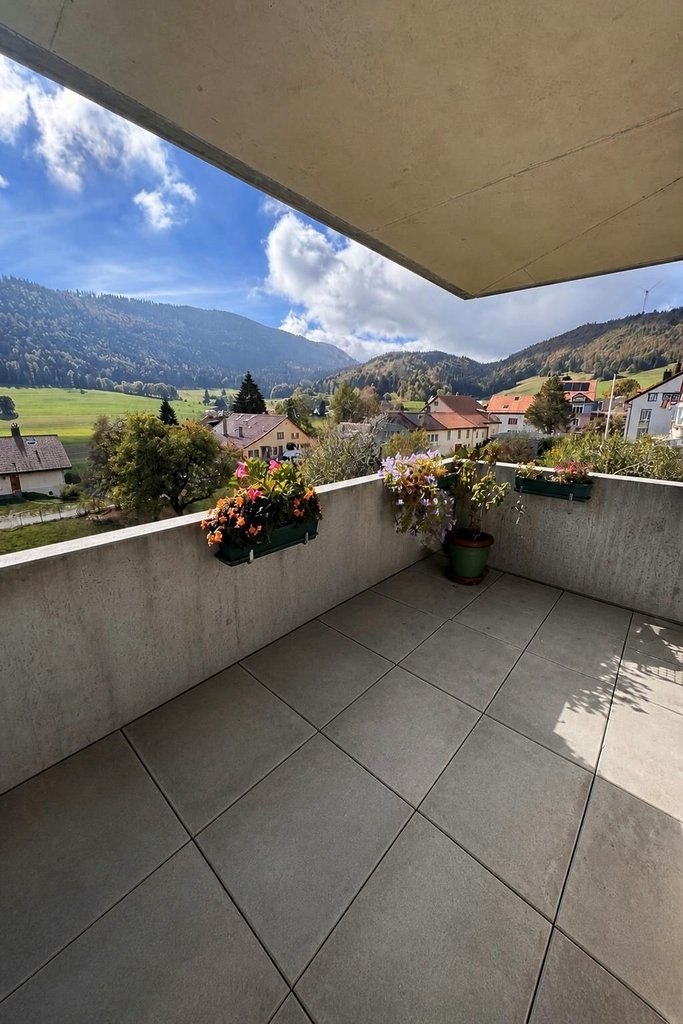 3 ½ Zimmer Wohnung