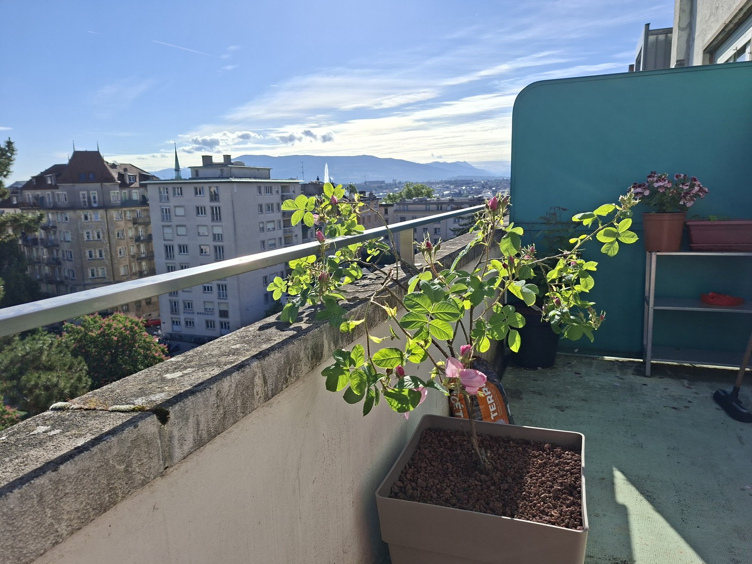 3 rooms apartment, photo 6 of 10