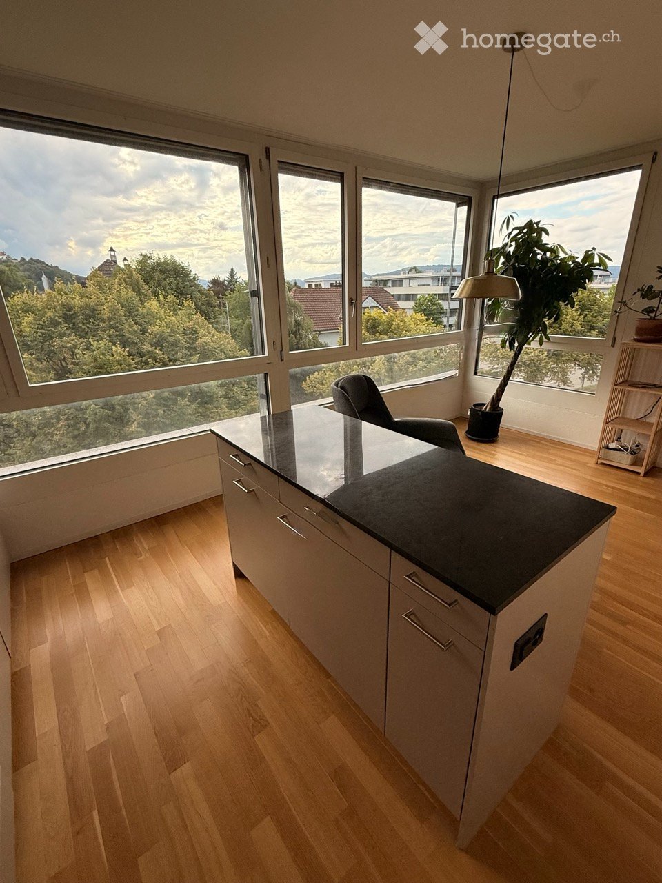 Appartement de 3 ½ pièces