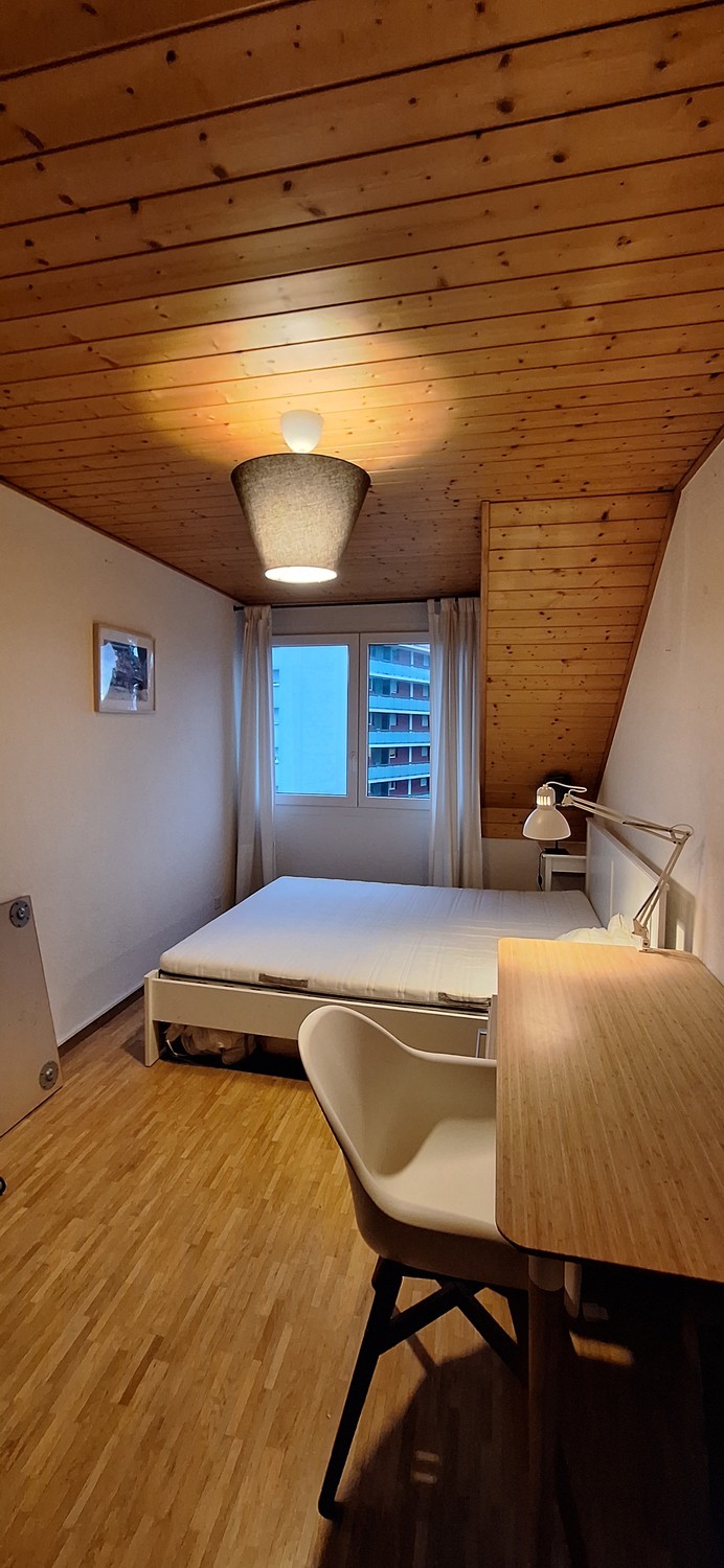 Room in a shared flat