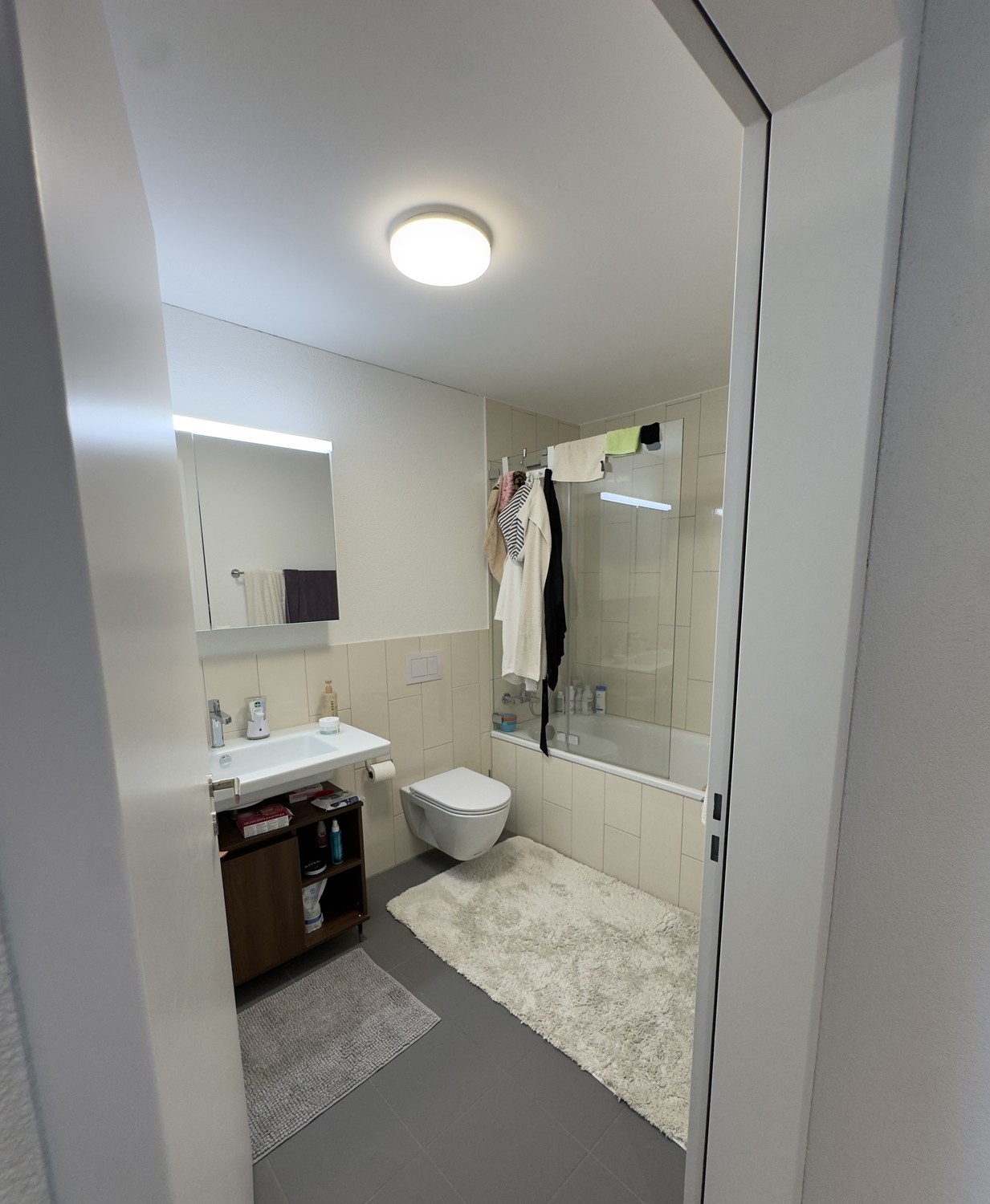 Appartement de 3 ½ pièces