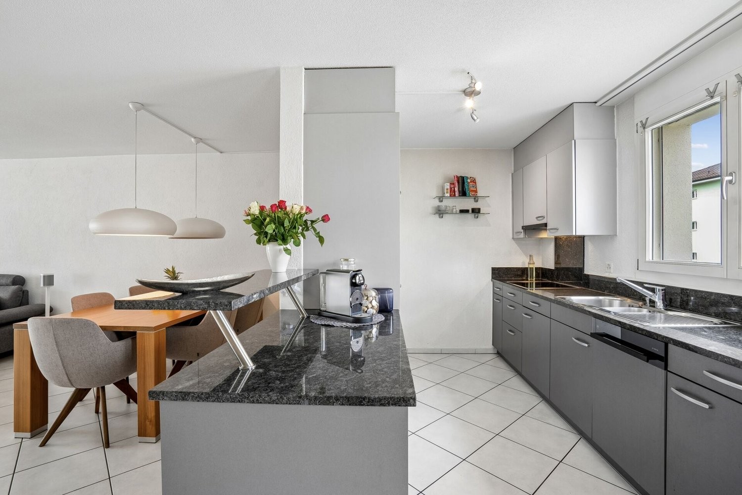 4 ½ rooms apartment (3)