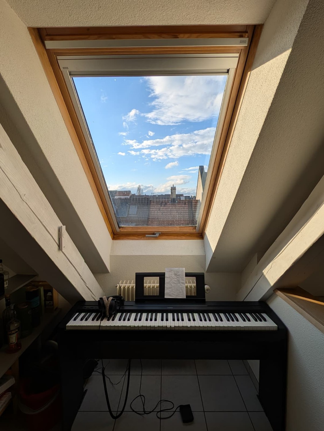 Room in a shared flat