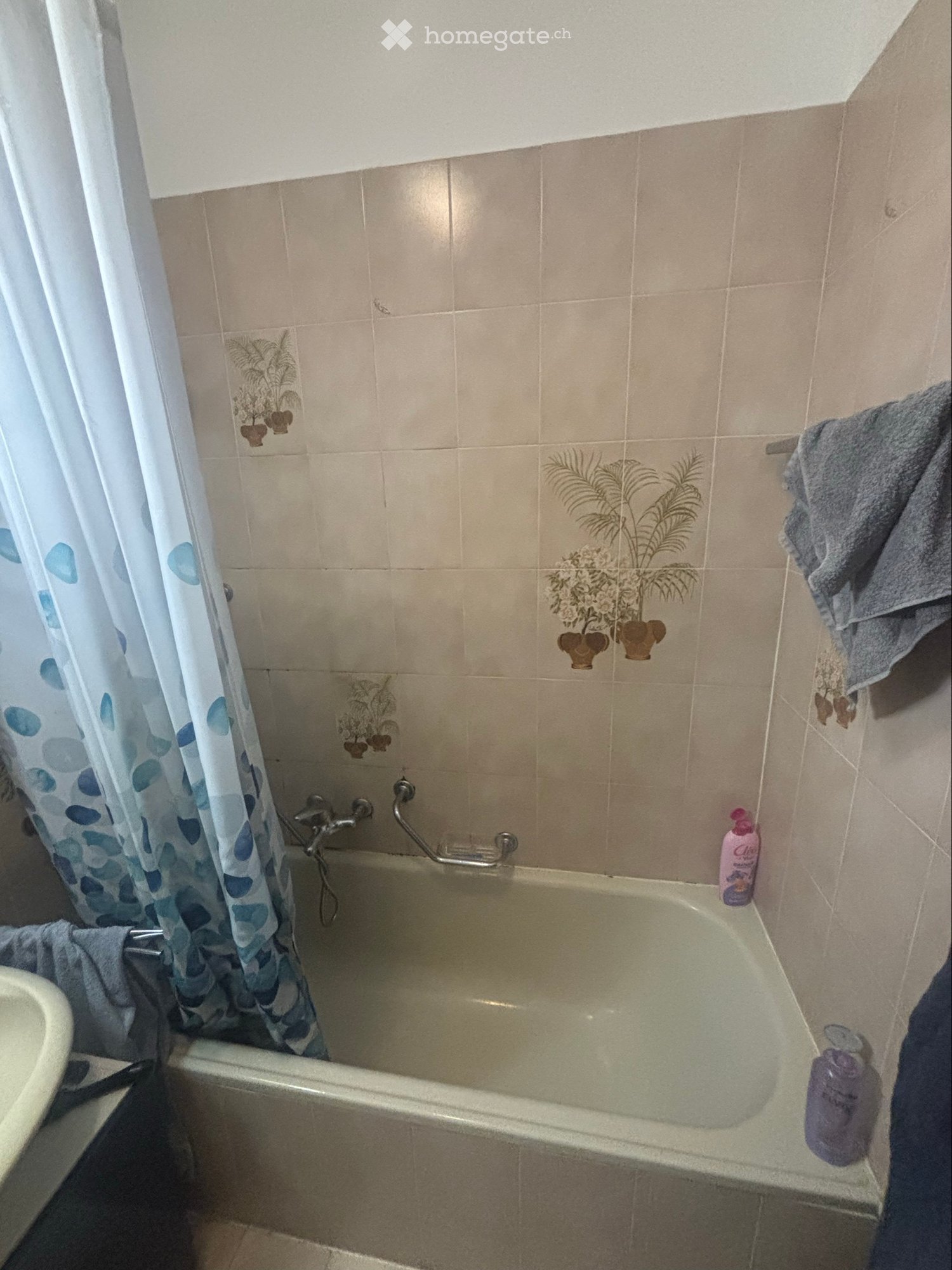 1 rooms apartment