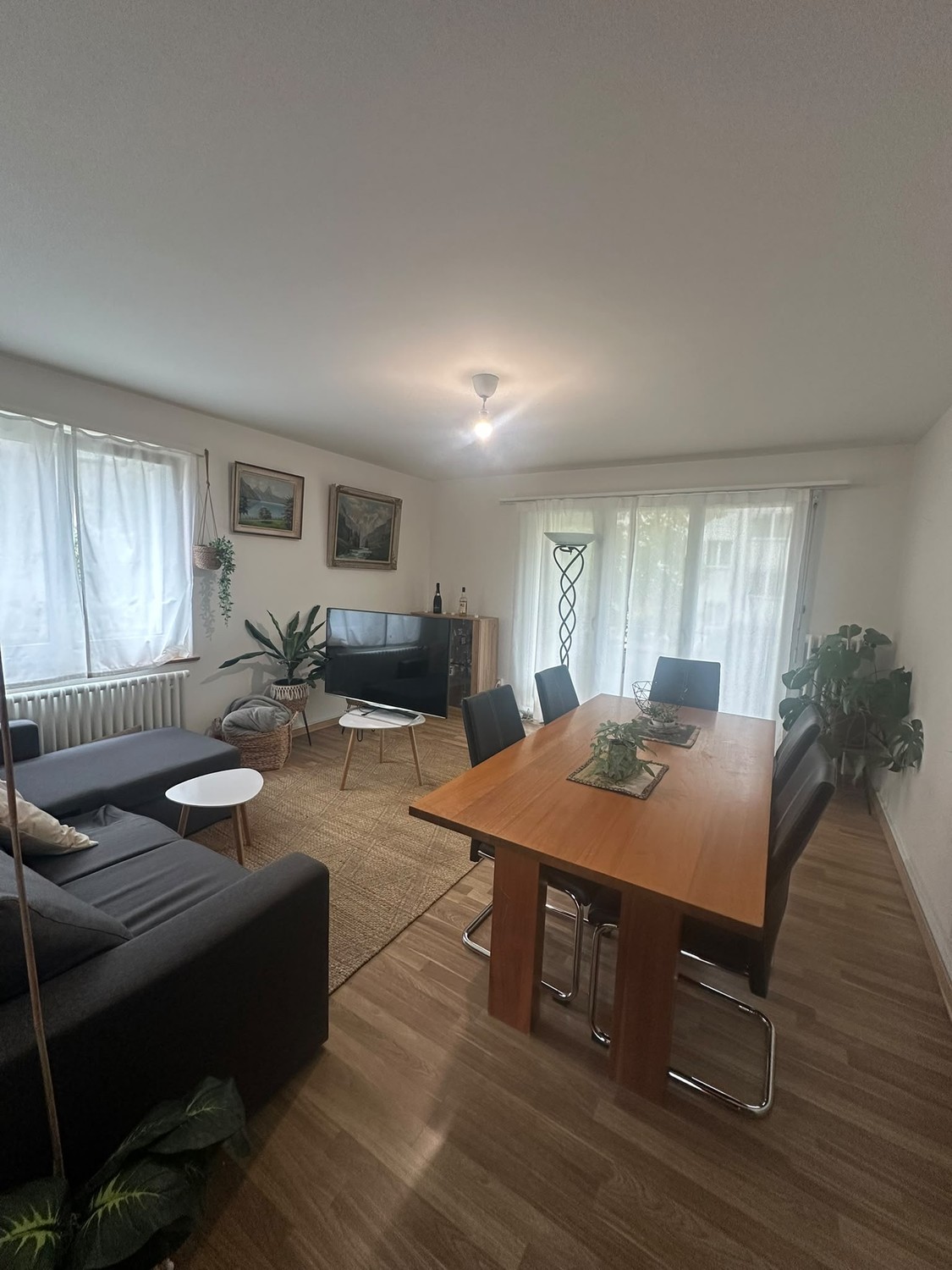 Room in a shared flat