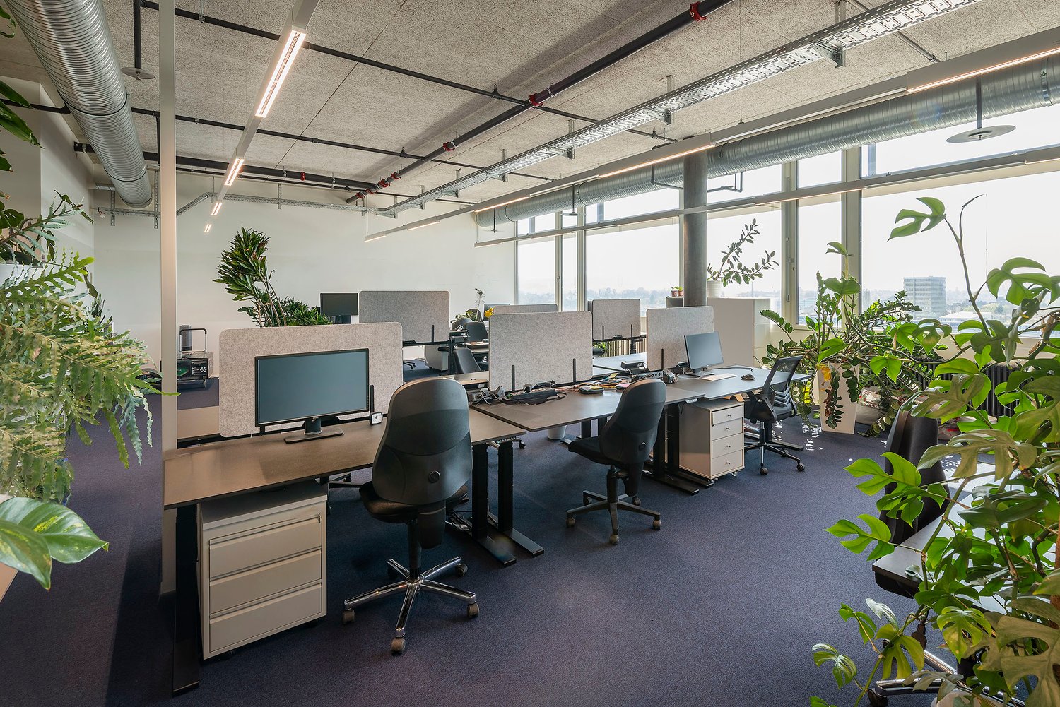 1058m² office, photo 4 of 5