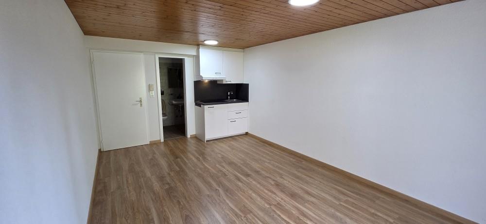1 room apartment