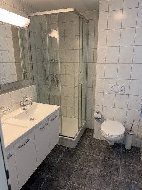 3 ½ rooms apartment (5)