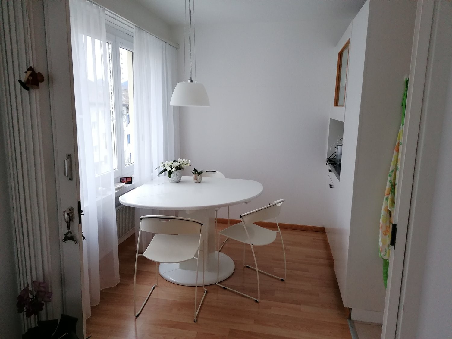 Appartement de 3 ½ pièces
