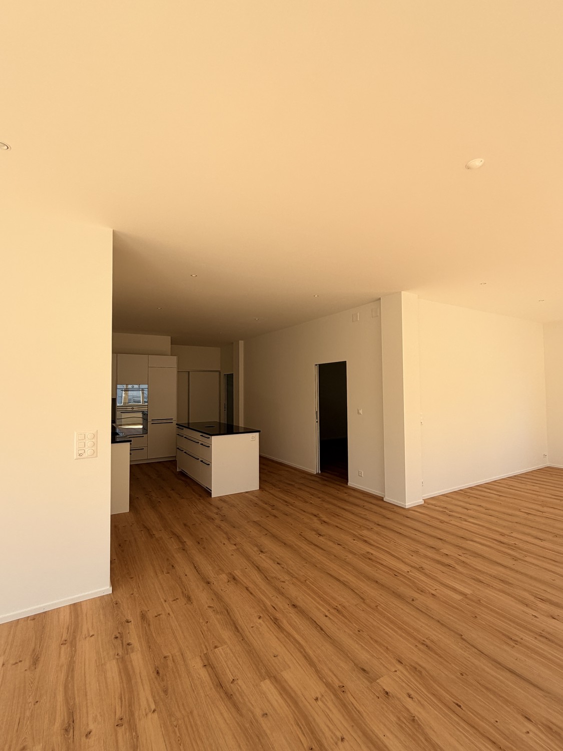 3 ½ pièces appartement