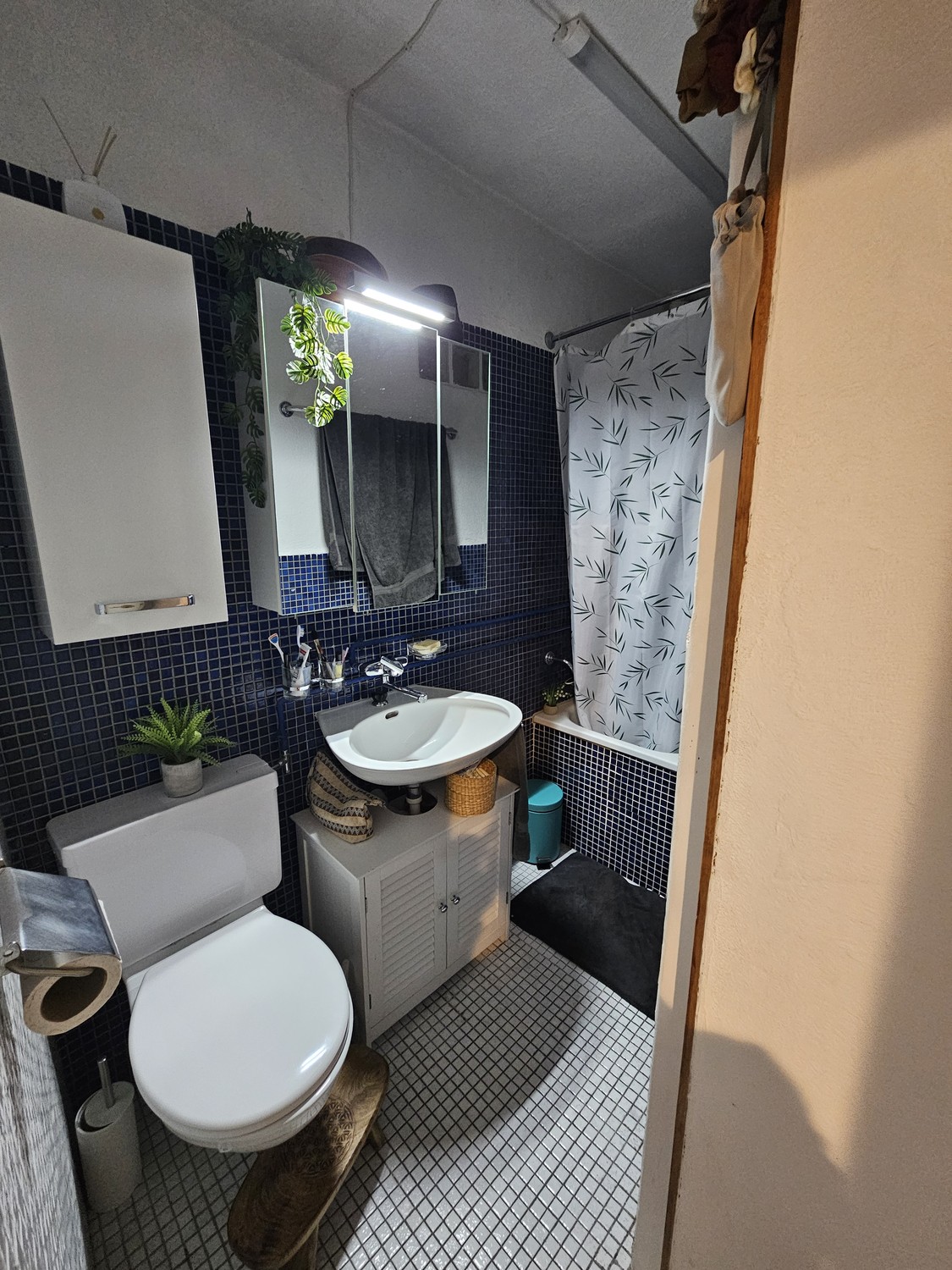 Appartement de 2 ½ pièces