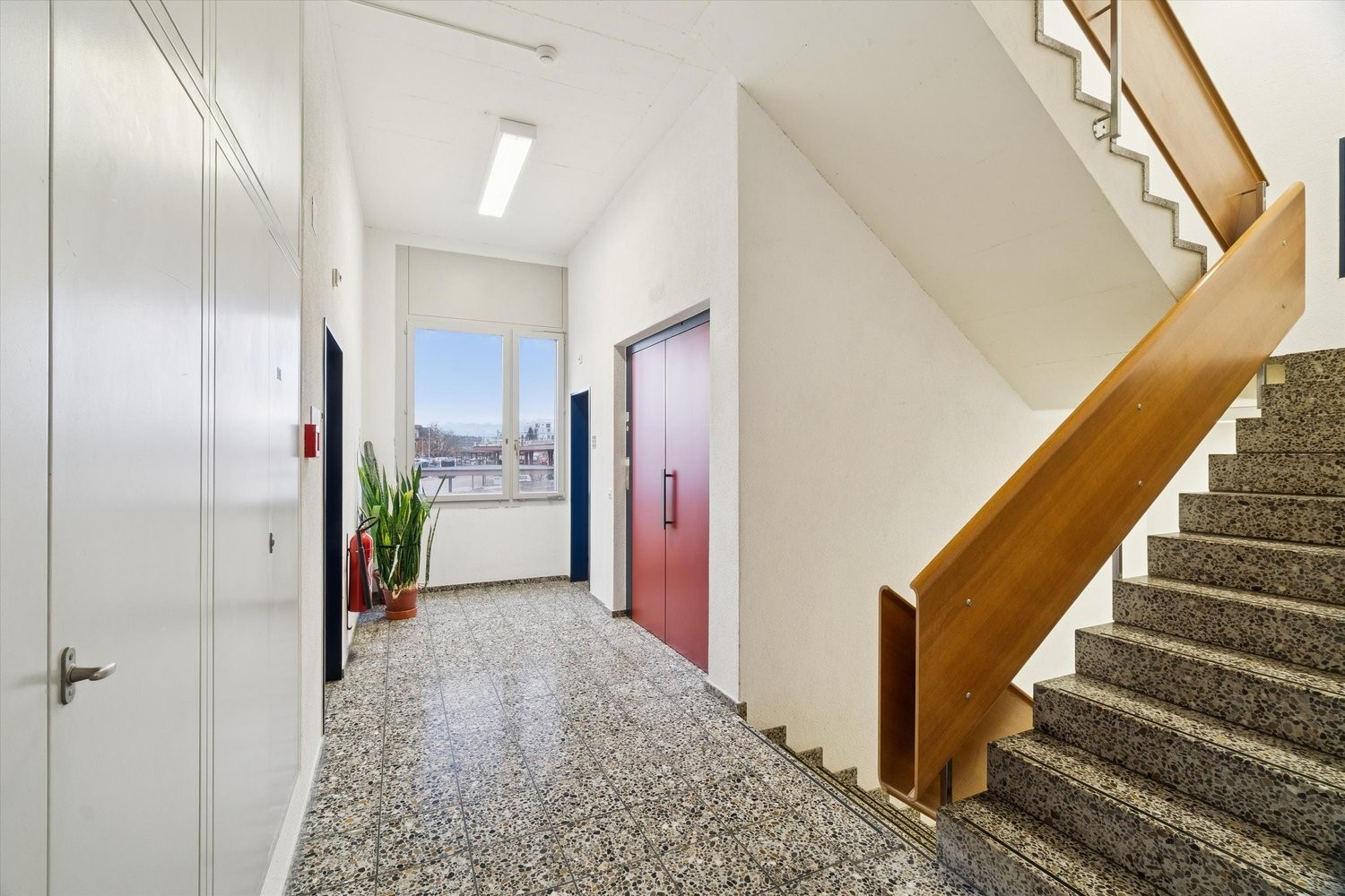 319m² commercial, photo 8 of 8