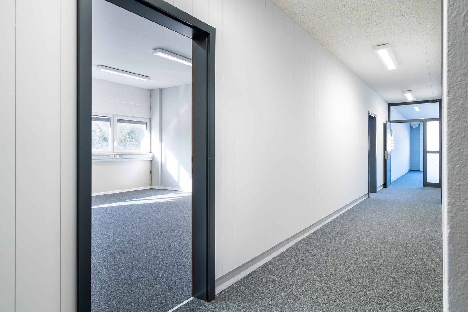 219m² office, photo 4 of 4