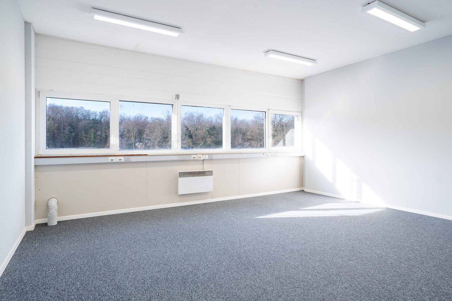 219m² office, photo 3 of 4