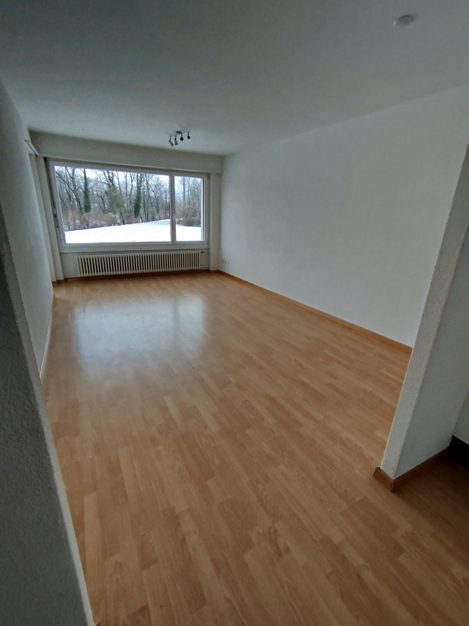 4 ½ rooms apartment, photo 4 of 10