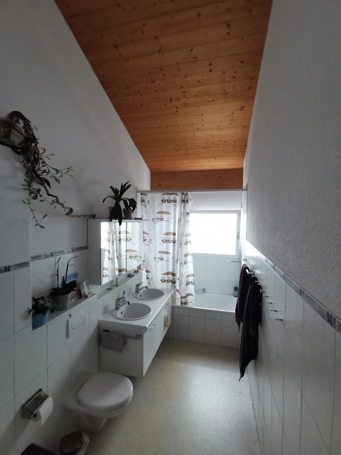 Room in a shared flat