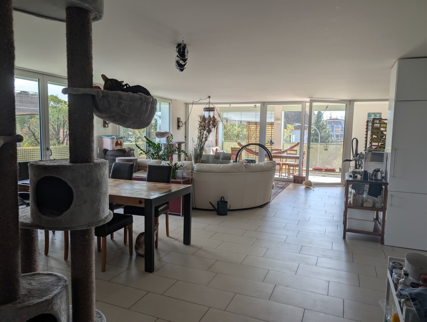 Room in a shared flat