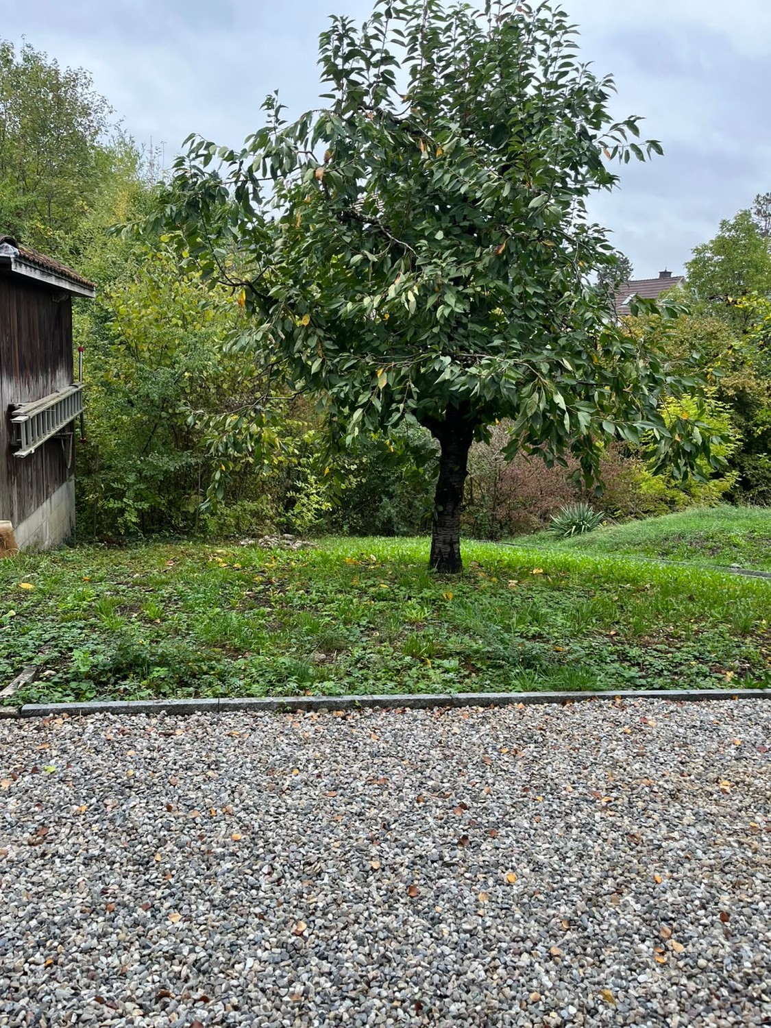 6 rooms single house