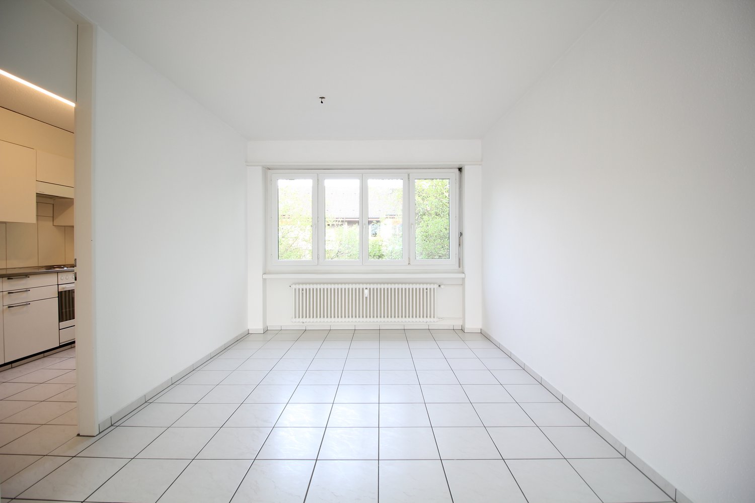 3 rooms apartment (3)