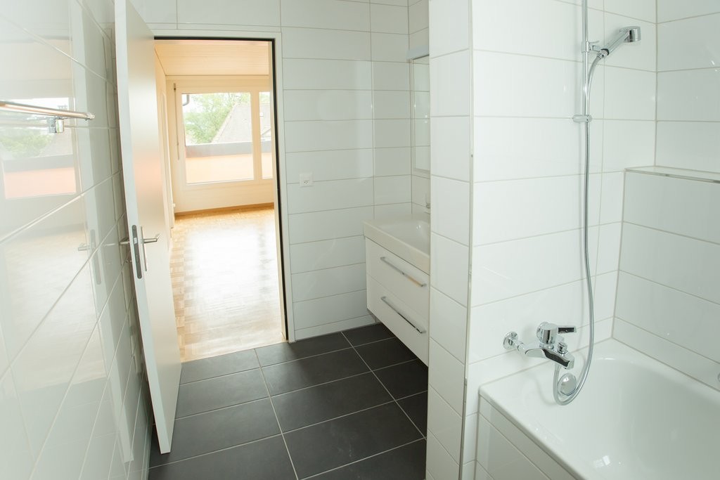 4 ½ rooms apartment (5)