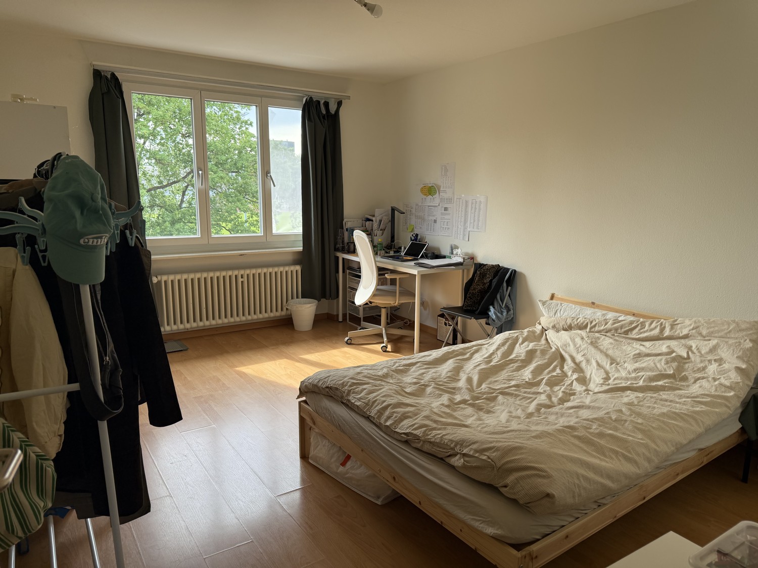 Room in a shared flat