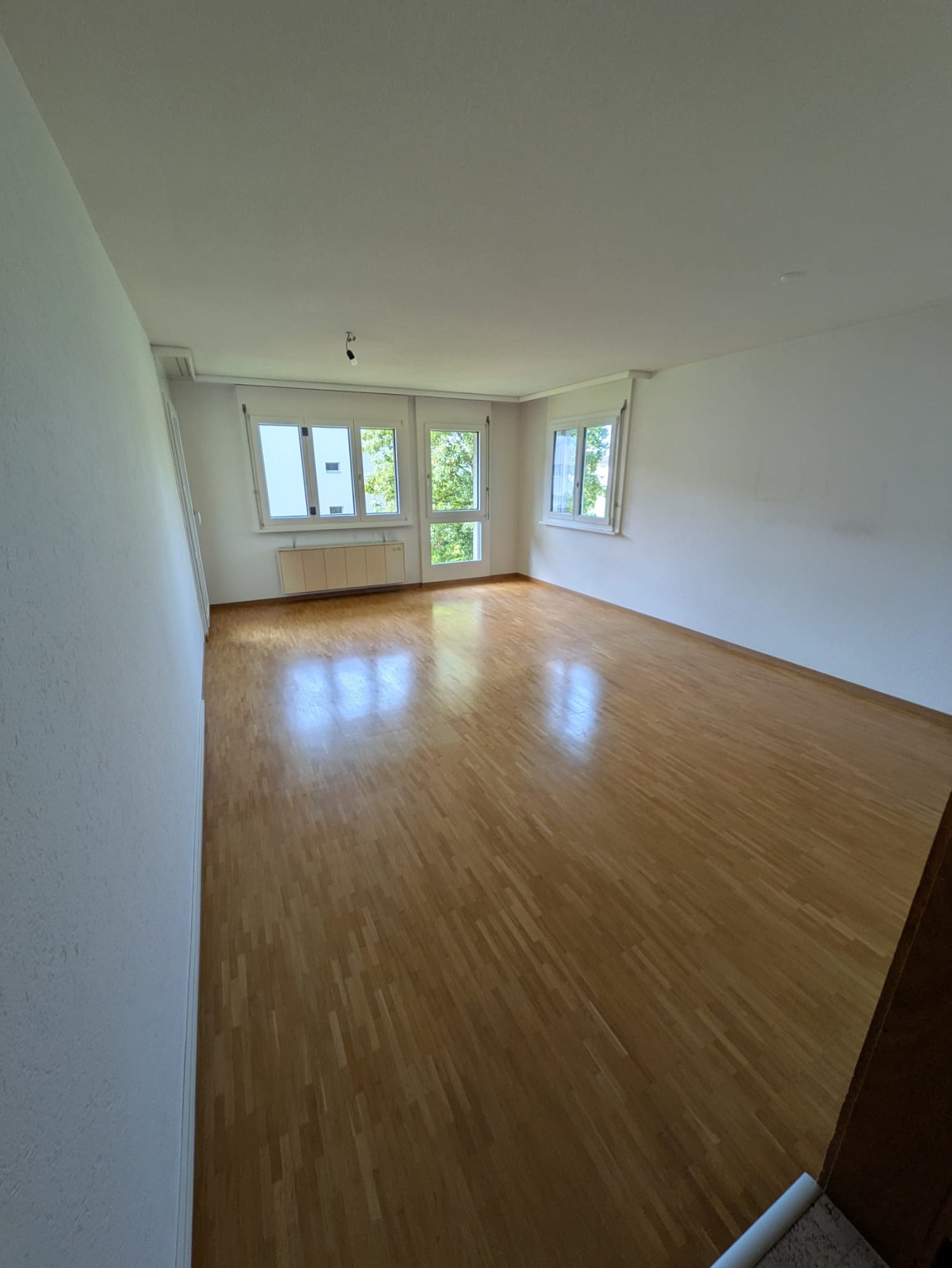 4 ½ rooms apartment, photo 5 of 10