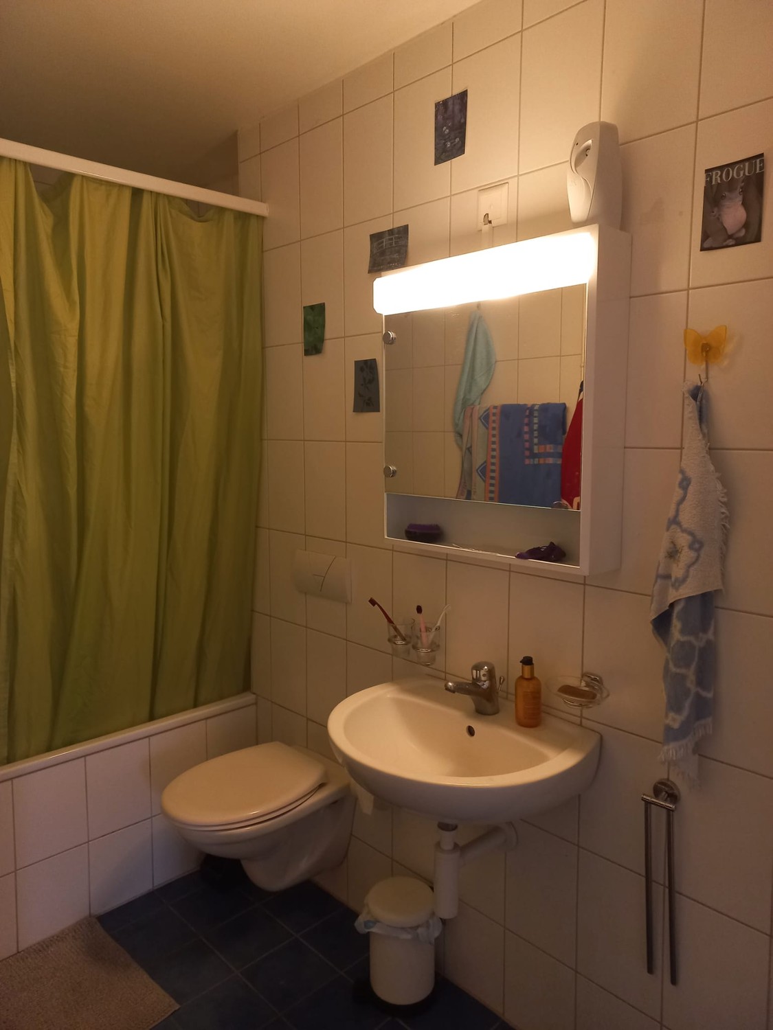 Room in a shared flat
