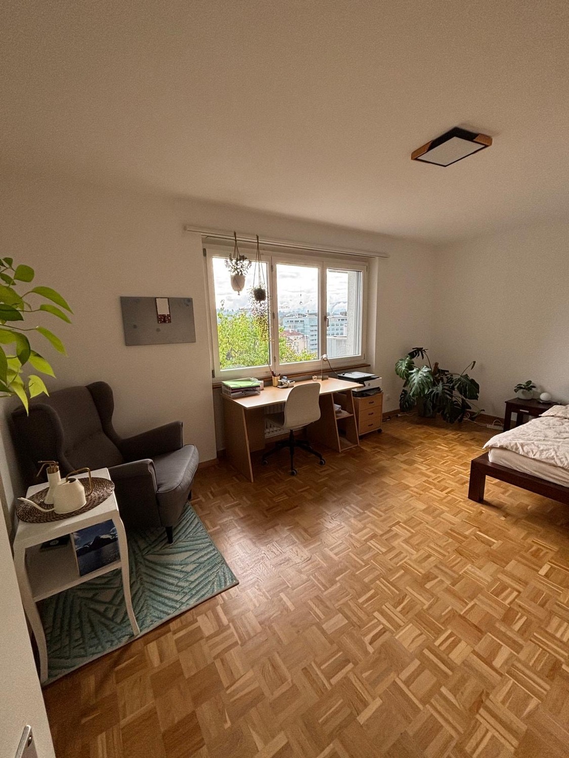 Room in a shared flat