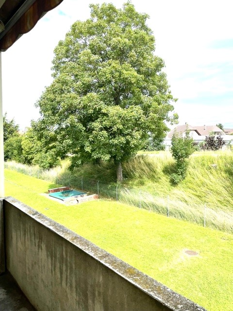 3 pièces appartement