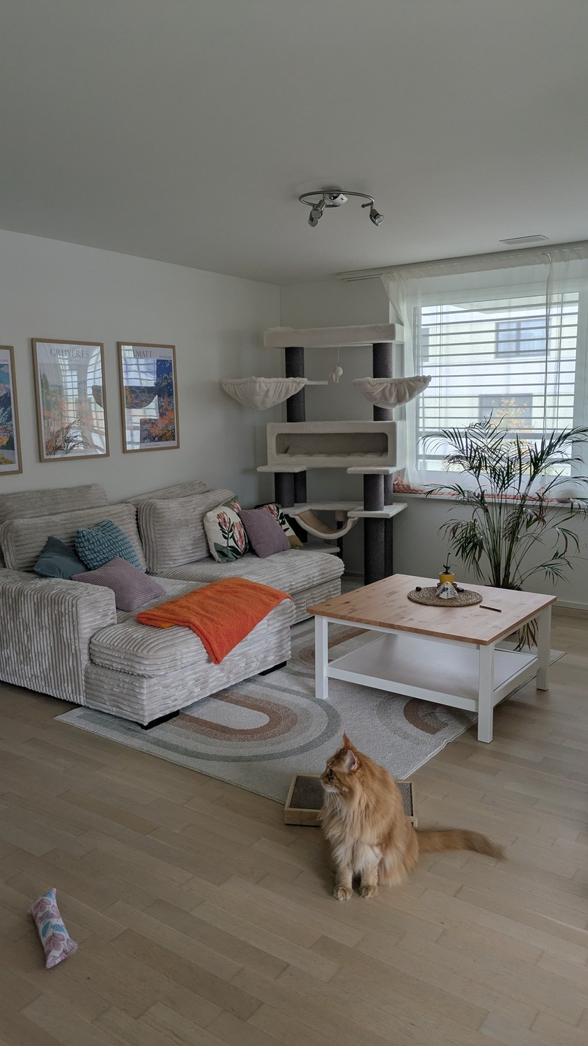 Room in a shared flat