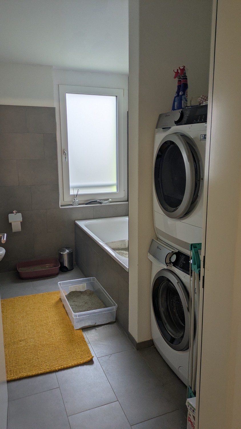 Room in a shared flat