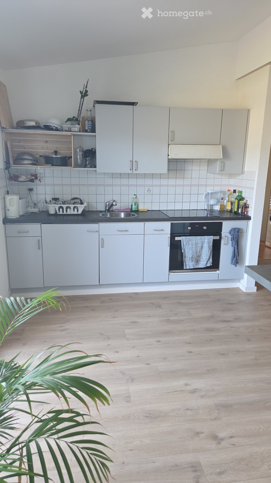 2 ½ rooms apartment