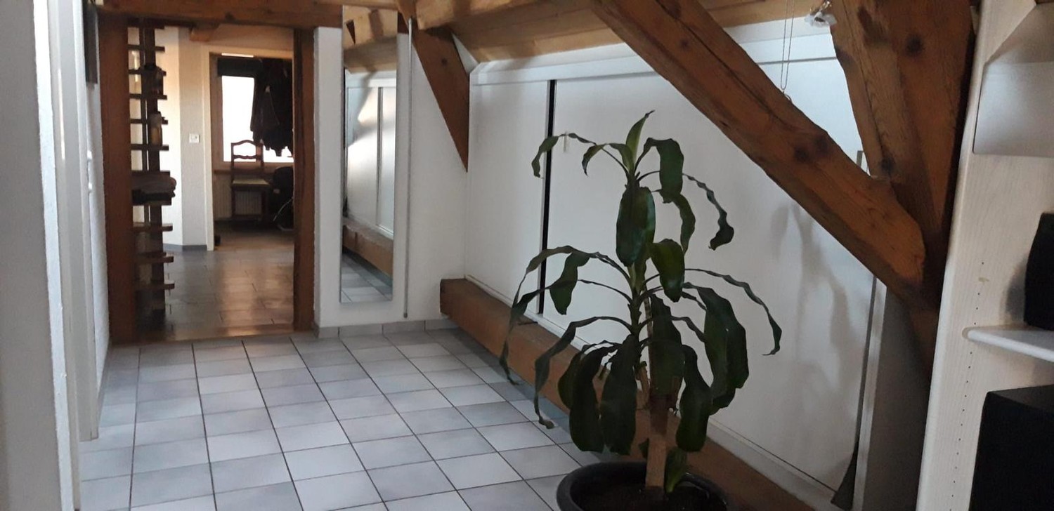 Appartamento di 4 ½ locali