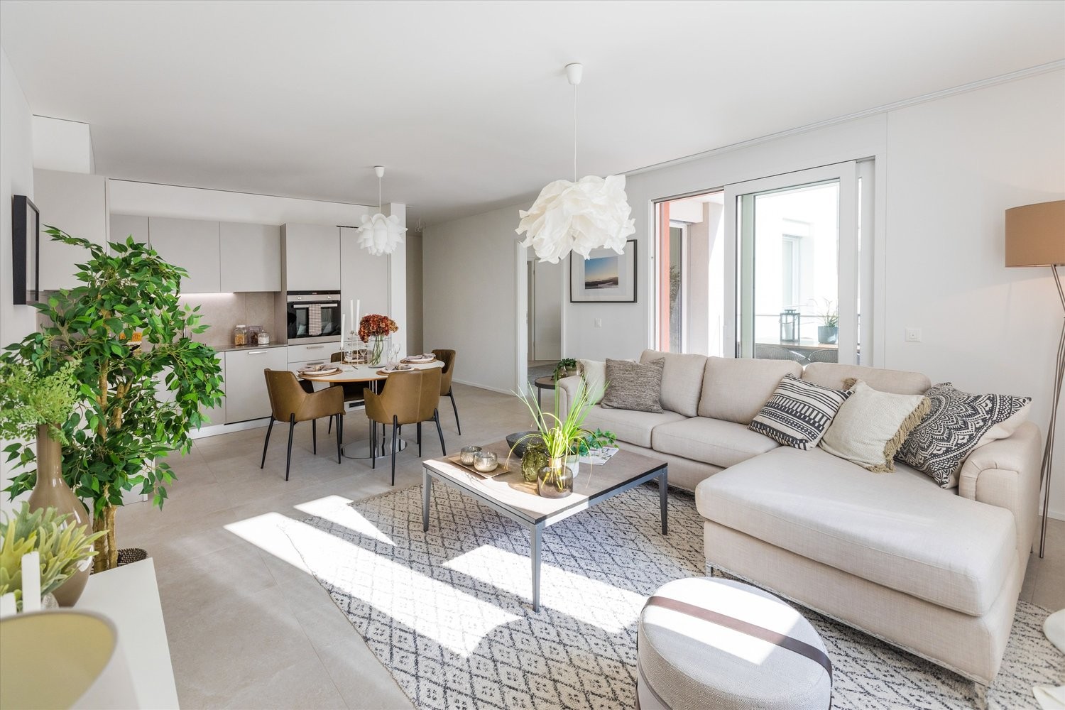 3 ½ rooms apartment (3)