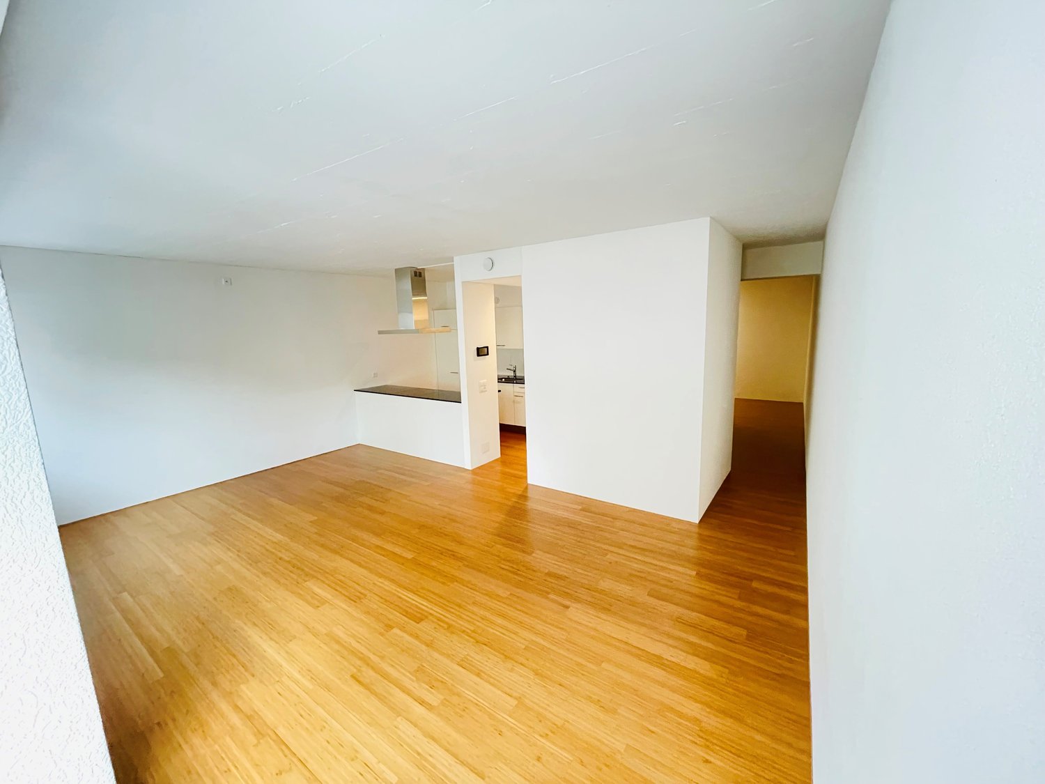 loft di 1 stanza