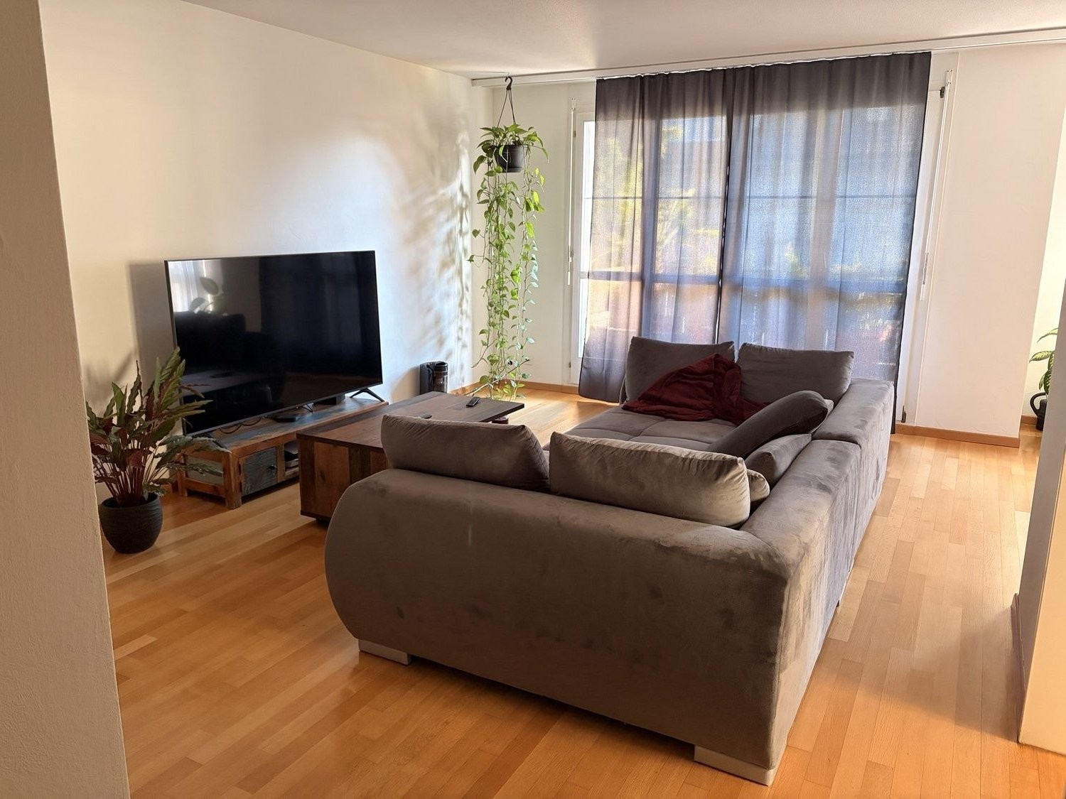 Room in a shared flat