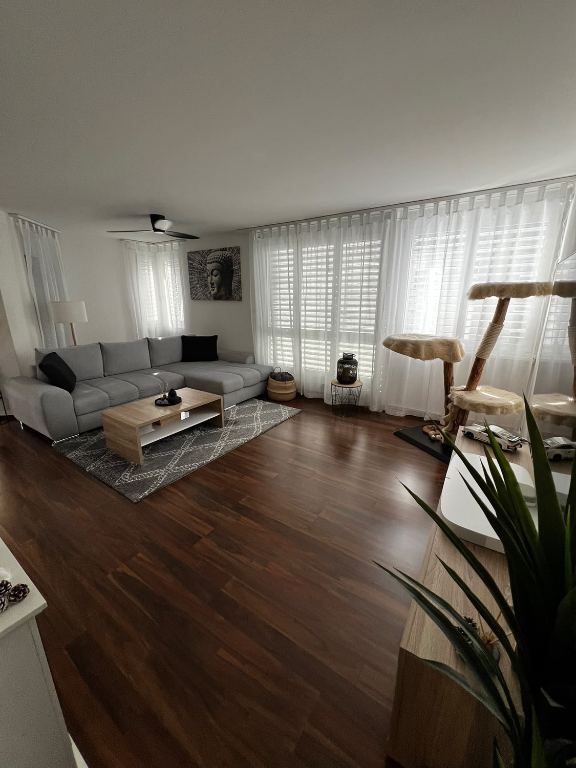 2 ½ rooms apartment