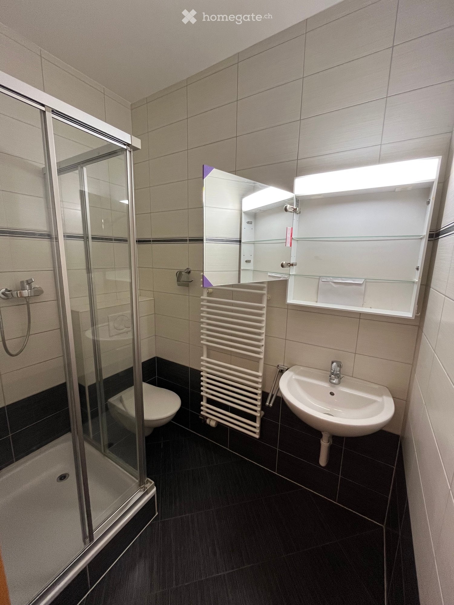 1 ½ rooms apartment (4)