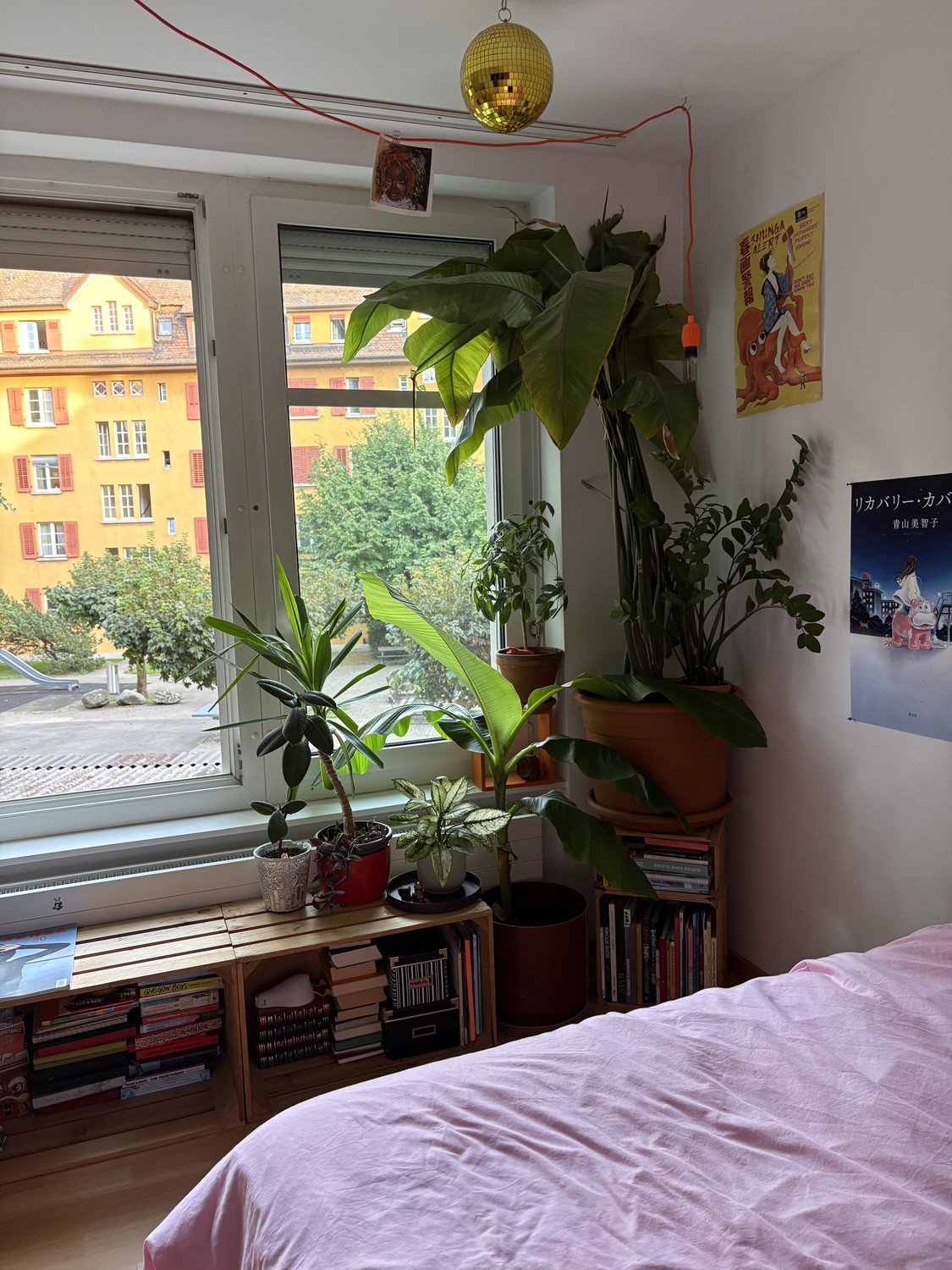 Stanza in un appartamento condiviso