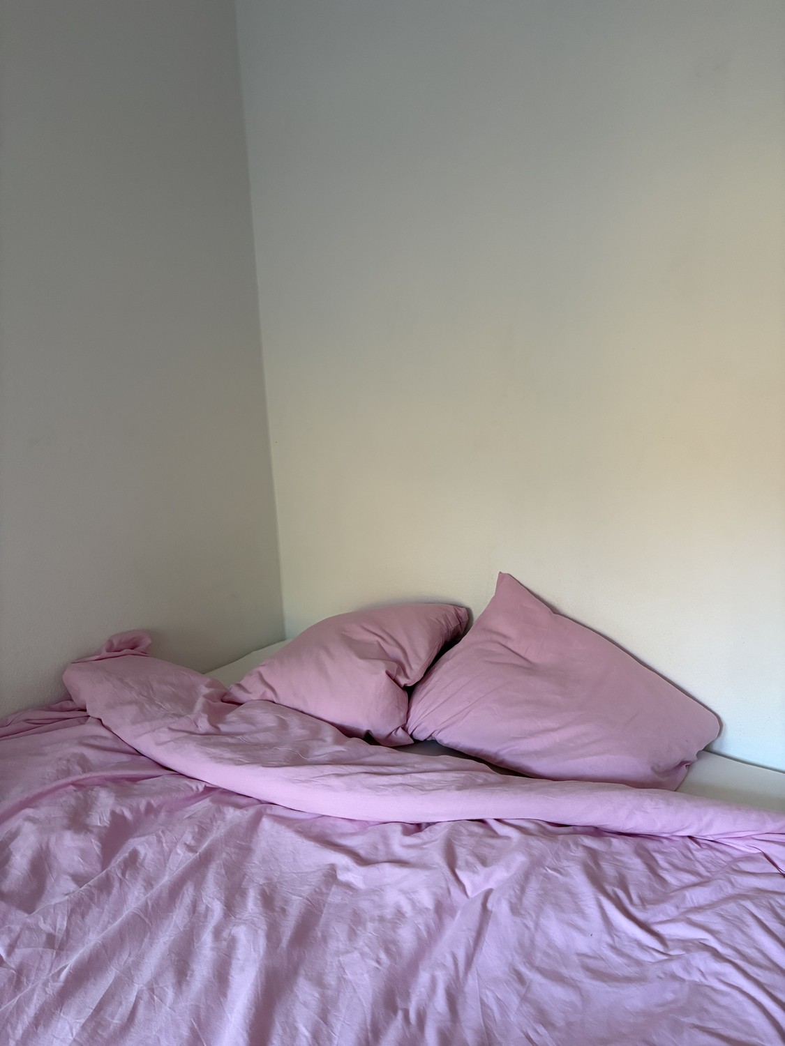 Stanza in un appartamento condiviso