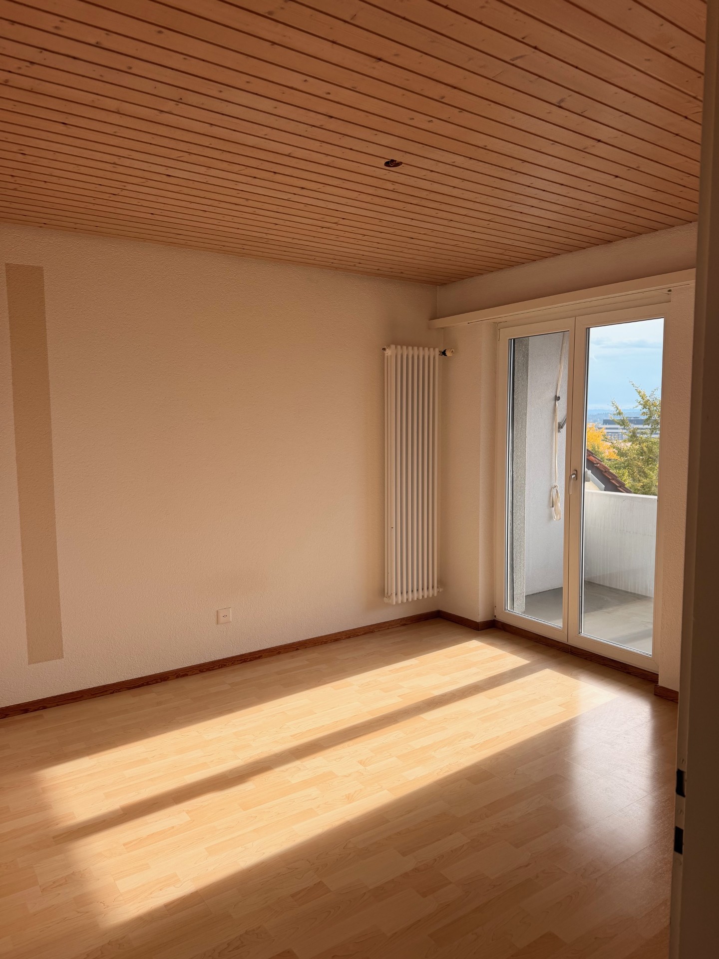 3 ½ room apartment
