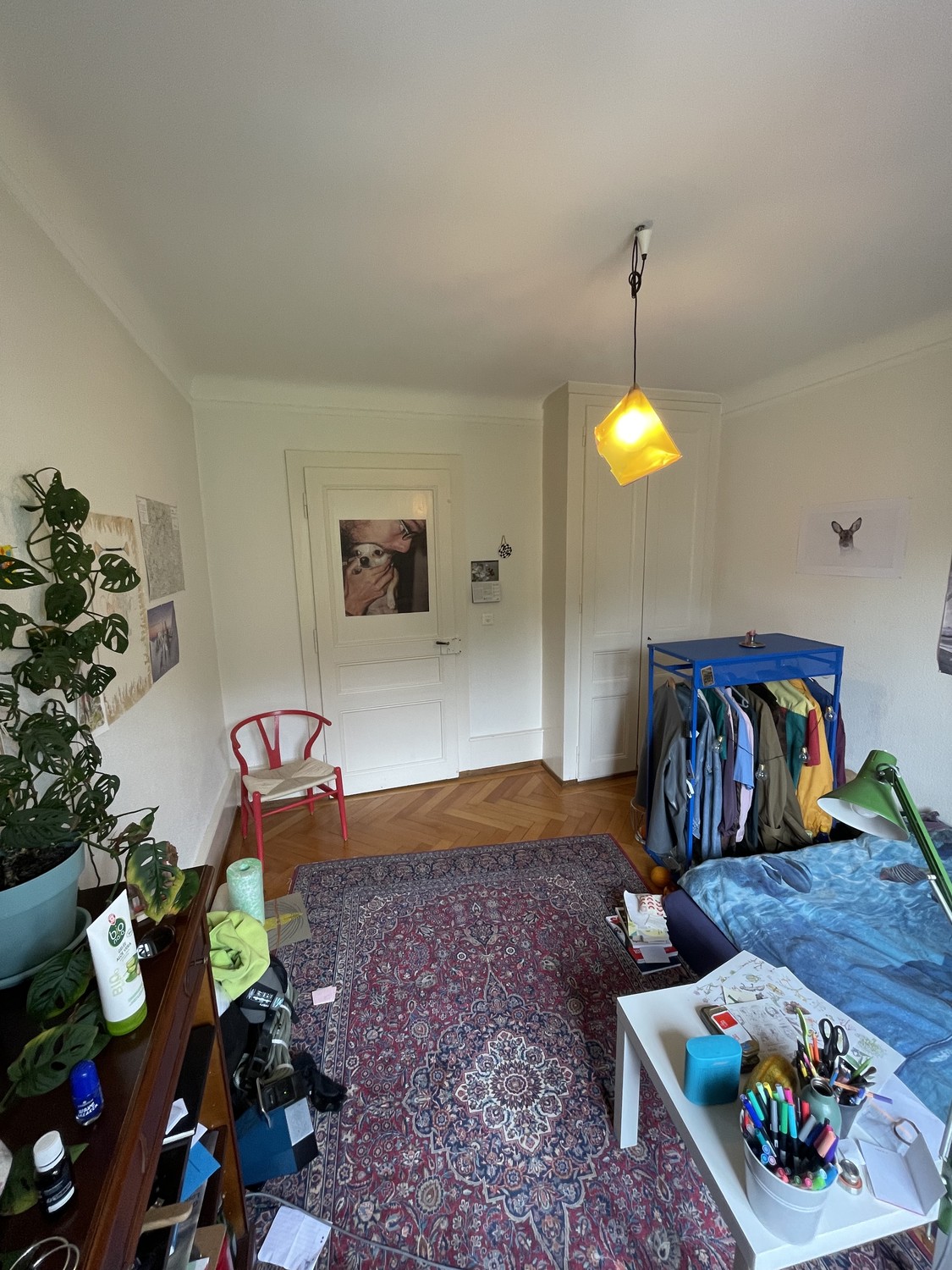 Room in a shared flat