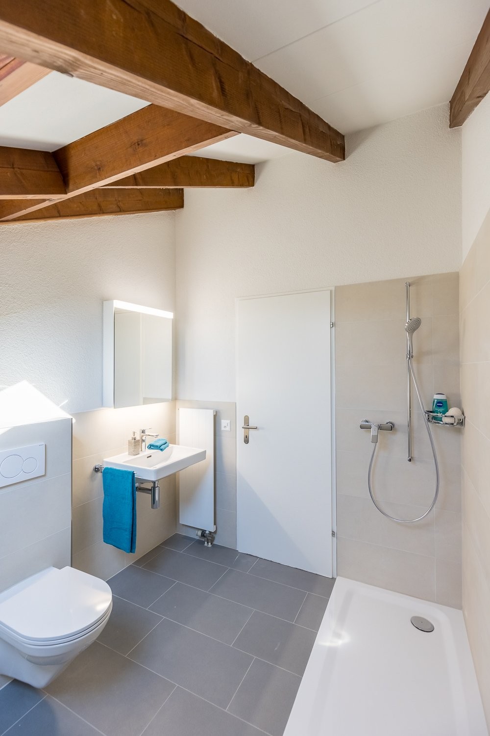 Appartamento di 3 ½ locali (4)