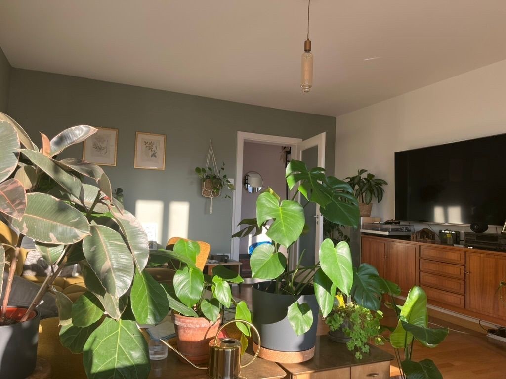Room in a shared flat, photo 2 of 10