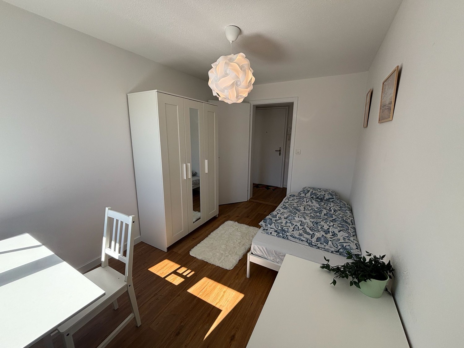 Room in a shared flat