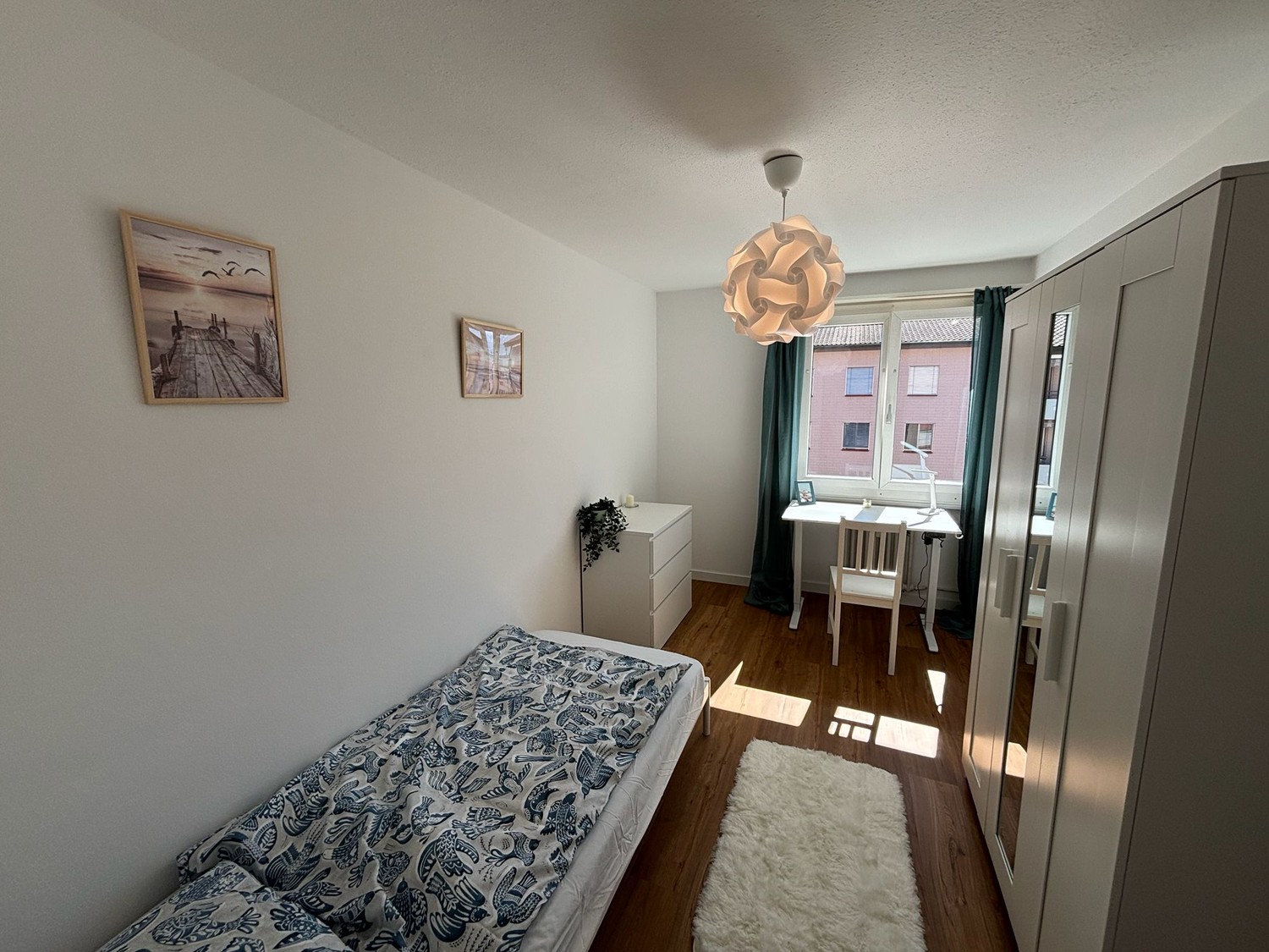 Room in a shared flat