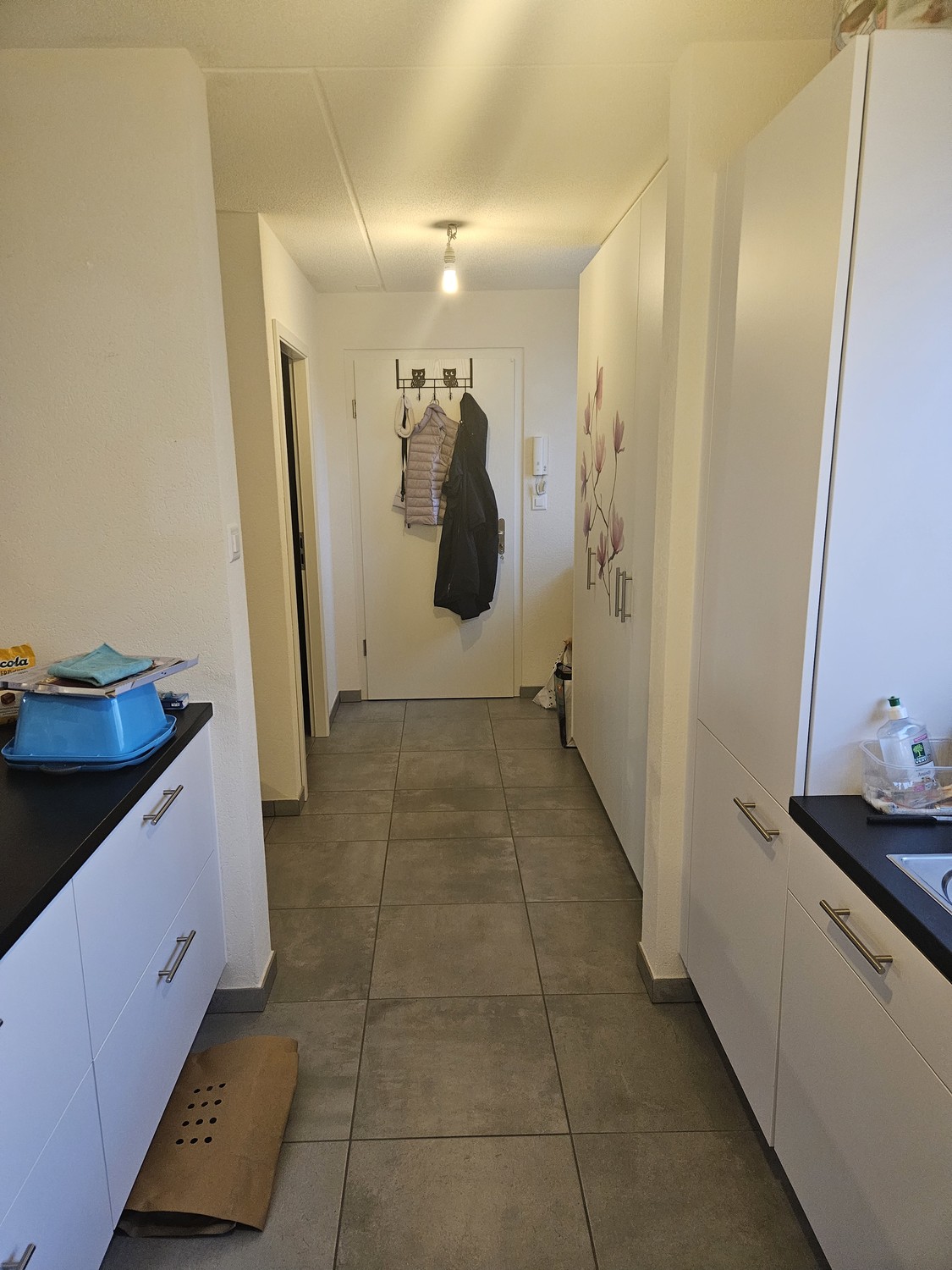 Appartamento di 3 ½ locali